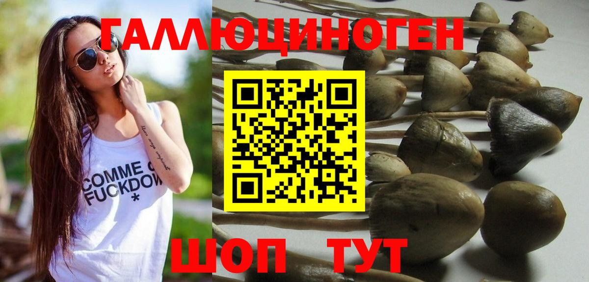 Псилоцибиновые грибы Psilocybe  магазин продажи   Маркс  Вход с VPN 